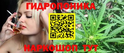 скорость Заводоуковск