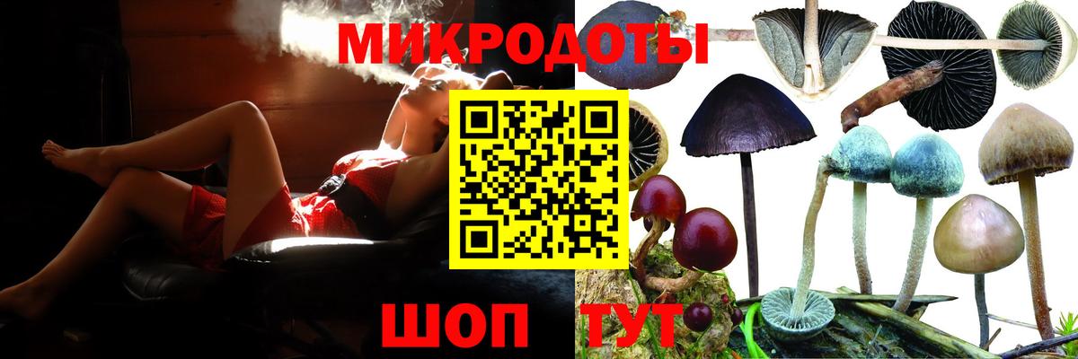 Камень-на-Оби  Галлюциногенные грибы Psilocybe  Вход с VPN  Галлюциногенные грибы Cubensis 